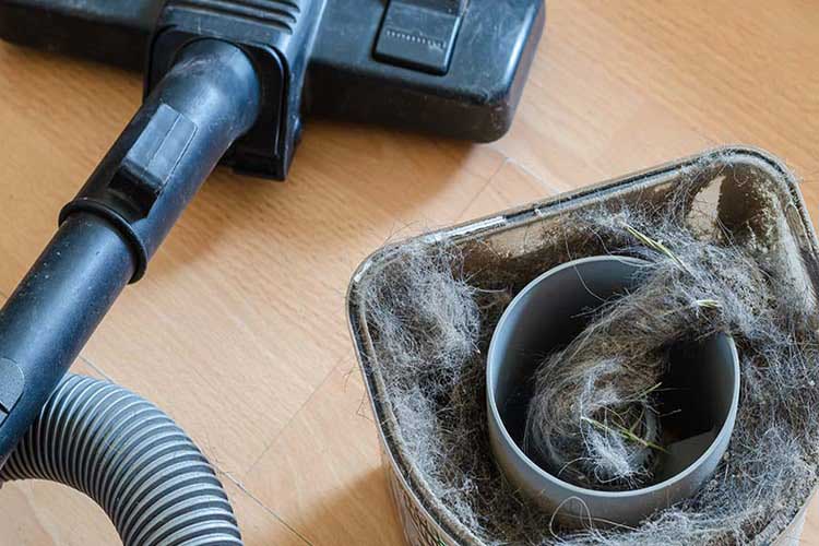 فیلتر جاروبرقی چه اهمیتی دارد؟ 4 ویژگیهای استفاده از فیلتر جاروبرقی