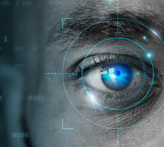 retinal biometrics technology with man s eye digital