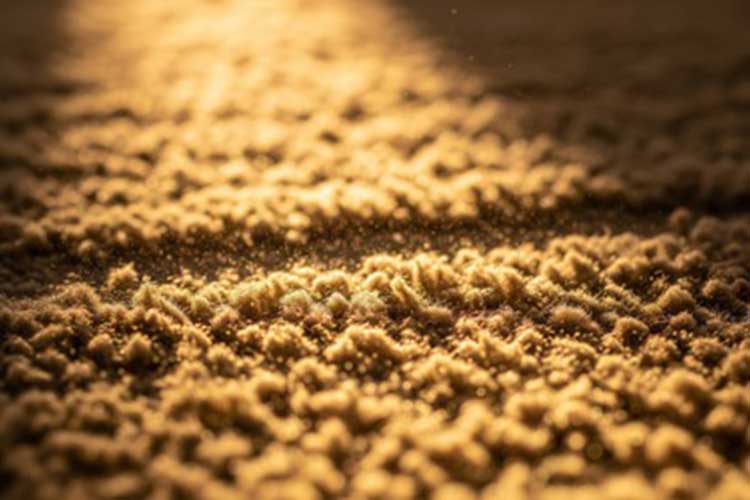 نکات مهم برای پیشگیری از آسیب و نگهداری از فرش